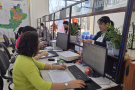 Bãi bỏ nhiều quy định về tiêu chuẩn và quản lý công chức, viên chức từ ngày 1-3