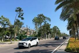 Người dân, du khách đậu xe ở đâu khi tham gia Lễ Khai mạc Năm Du lịch quốc gia - Gia Lai 2026?