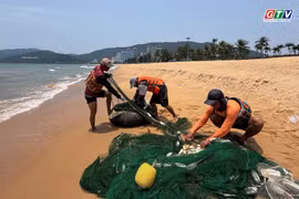 Lấp lánh vị biển Quy Nhơn