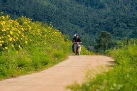 Gia Lai: Khẩn trương xác lập quyền sở hữu trí tuệ đối với tên gọi, hình ảnh của 2 sự kiện văn hóa-thể thao