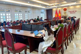 Nhiều hoạt động nghệ thuật đặc sắc tại Tuần lễ Hoa dã quỳ-Núi lửa Chư Đang Ya năm 2024