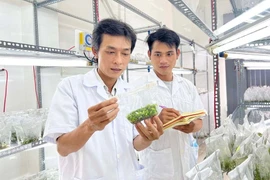 Gia Lai: Phấn đấu đến năm 2030, trí thức có trình độ đại học trở lên chiếm khoảng 77% 