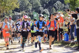 Lần đầu tổ chức giải chạy cự ly 160 km trong rừng ở Lâm Đồng