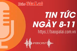 Tin tức sáng 8-11: Tuần lễ hoa Dã quỳ-Núi lửa Chư Đang Ya: Cơ sở lưu trú sẵn sàng phục vụ du khách