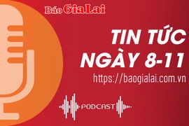 Tin tức sáng 8-11: Tuần lễ hoa Dã quỳ-Núi lửa Chư Đang Ya: Cơ sở lưu trú sẵn sàng phục vụ du khách