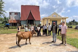 Quan tâm hỗ trợ hộ nghèo và đối tượng yếu thế