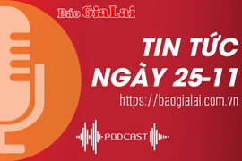 Tin tức ngày 25-11: Chú trọng phòng ngừa tai nạn giao thông trong mùa thu hoạch cà phê