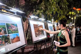 Gia Lai có 1 tác giả đạt Giải thưởng Văn học - Nghệ thuật Chư Yang Sin tỉnh Đắk Lắk lần thứ IV