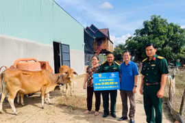 Trao sinh kế cho hộ khó khăn ở huyện Phú Thiện 