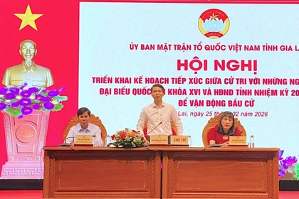 Triển khai kế hoạch tiếp xúc cử tri để vận động bầu cử ĐBQH khóa XVI và đại biểu HĐND tỉnh Gia Lai