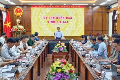 Chủ tịch UBND tỉnh Phạm Anh Tuấn nghe báo cáo tiến độ thực hiện Năm Du lịch quốc gia - Gia Lai 2026