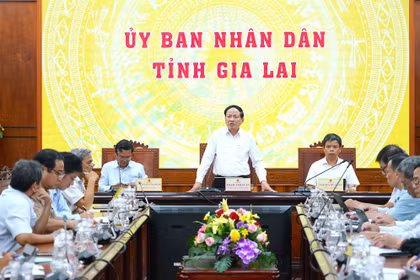 Gia Lai siết chặt việc quản lý, điều hành, bình ổn giá thị trường 