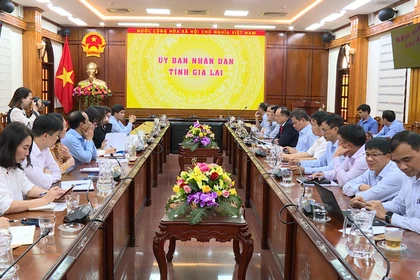 Phó Chủ tịch UBND tỉnh Dương Mah Tiệp tiếp và làm việc với UNICEF