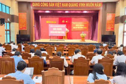 Đảng ủy các cơ quan Đảng tỉnh Gia Lai tổ chức hội nghị báo cáo viên tháng 5