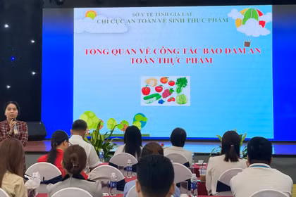 Hiệp hội Văn hóa ẩm thực tỉnh Gia Lai: Đảm bảo an toàn thực phẩm phục vụ người dân và du khách