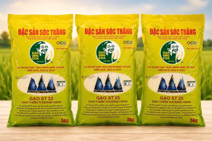 Ông Hồ Quang Cua chỉ cách nhận biết gạo thật sau vụ 22 tấn ST25 bị làm giả
