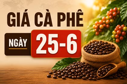 Giá cà phê ngày 25-6: Đảo chiều tăng, cao nhất 88.700 đồng/kg