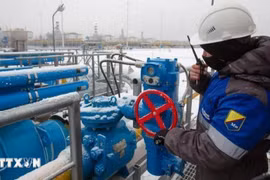 Công nhân điều chỉnh van tại trạm khí nén Slavyanskaya trên hệ thống đường ống dẫn khí đốt Nord Stream 2 của Tập đoàn Gazprom ở Ust-Luga, Nga. Ảnh: Getty Images/TTXVN