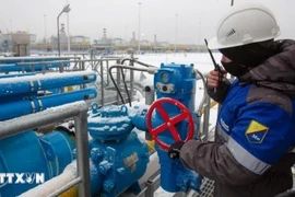 Công nhân điều chỉnh van tại trạm khí nén Slavyanskaya trên hệ thống đường ống dẫn khí đốt Nord Stream 2 của Tập đoàn Gazprom ở Ust-Luga, Nga. Ảnh: Getty Images/TTXVN