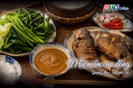 Ngăn ký ức: Thương mùi mắm cua đồng
