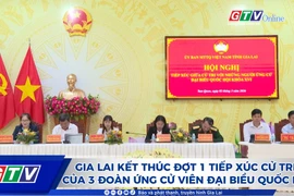 Gia Lai kết thúc đợt 1 tiếp xúc cử tri của 3 đoàn ứng cử viên đại biểu Quốc hội