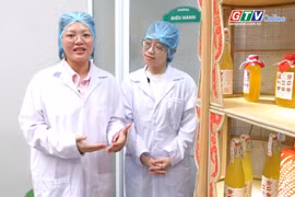 Gia Lai sáng tạo: Nếp since 1995