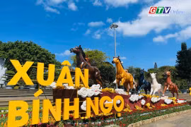 60s Gia Lai: Muôn màu Linh vật Xuân Bính Ngọ 2026