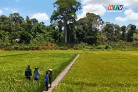 Báo và PT – TH Gia Lai có tác phẩm đạt giải khuyến khích Giải Búa liềm vàng toàn quốc năm 2025