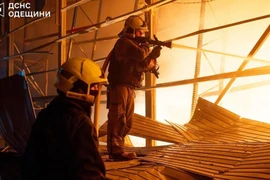 Tin thế giới tối 30-1: Tổng thống Ukraine đề nghị Tổng thống Nga tới Kiev đàm phán