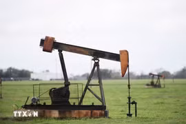 Xuất khẩu dầu của Mỹ tăng vọt giữa khủng hoảng Hormuz