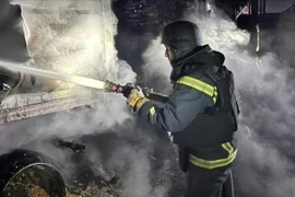 Lễ trao chứng nhận kỷ lục Guinness thế giới cho bức tranh ghép từ nắp chai nhựa.