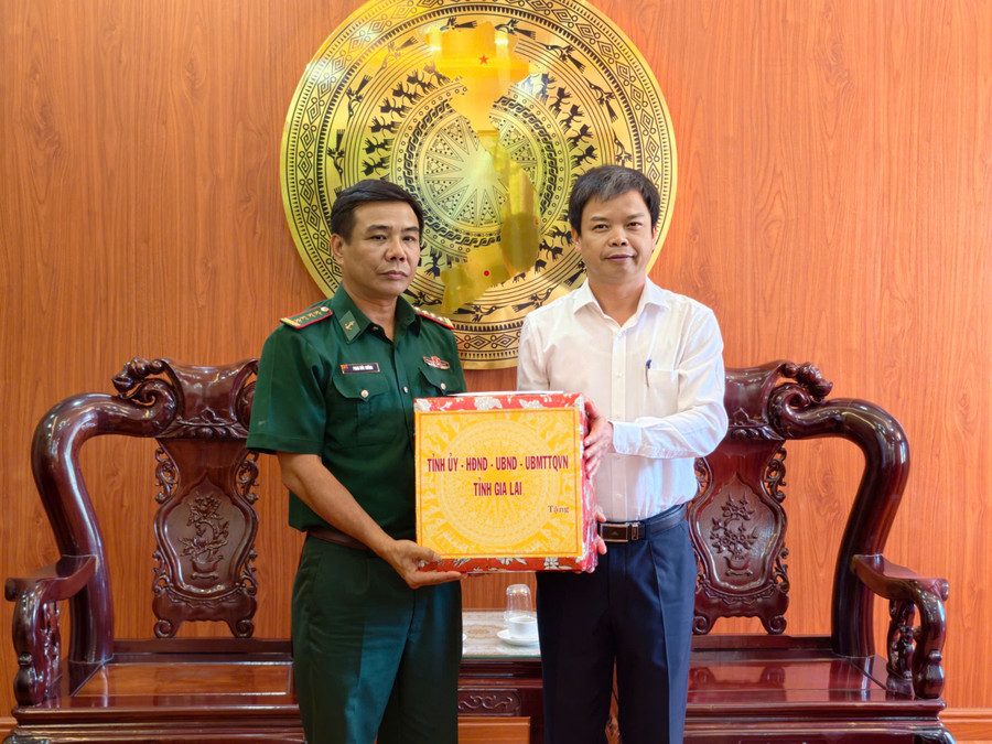 Phó Chủ tịch UBND tỉnh Nguyễn Hữu Quế tặng quà cho cán bộ, chiến sĩ Hải đoàn Biên phòng 48. Ảnh: Dũng Nhân 1.jpg