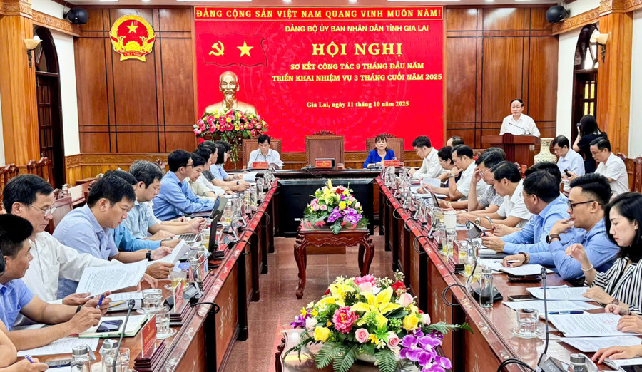 Quang cảnh hội nghị. Ảnh: Minh Hoàng hoi-nghi.jpg