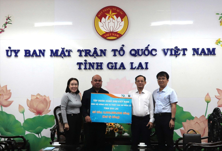 Поряд із просуванням бізнесу, компанія Petrolimex Gia Lai One Member Co., Ltd. активно бере участь у роботі із соціального забезпечення. Фото: DVCC tham-gia-cong-tac-xh-7988.jpg