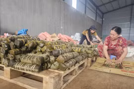 Người dân cao nguyên Gia Lai gói bánh tét hỗ trợ đồng bào vùng lũ miền Trung