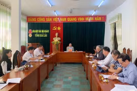 Gia Lai: Góp ý dự thảo Luật Tổ chức chính quyền địa phương