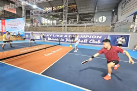 Hơn 80 vận động viên tranh tài môn pickleball tại Đại hội Thể dục thể thao tỉnh Gia Lai