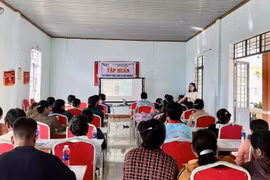 Tập huấn kỹ thuật trồng ngô sinh khối cho nông dân xã Pờ Tó