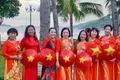 Gia Lai: Rực rỡ cờ đỏ sao vàng trước thềm đại lễ Quốc khánh