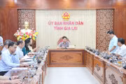 Chuẩn bị chu đáo cho sự kiện “Đối thoại Quy Nhơn về khí hậu và chuyển đổi"