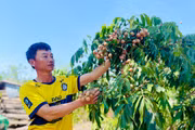 Chàng trai người Mường vươn lên làm giàu trên vùng đất khó