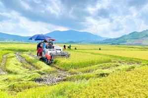 Thông tin dự báo, cảnh báo thời tiết tháng 10 tại tỉnh Gia Lai