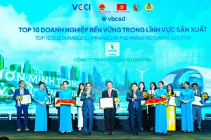 Cao su Chư Păh lọt top 10 doanh nghiệp bền vững năm 2024