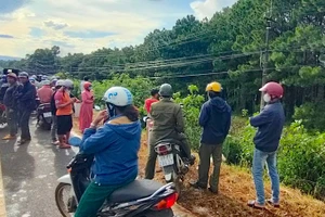 Pleiku: Phát hiện người đàn ông tử vong trong tư thế treo cổ tại rừng thông