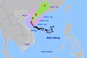 Bão số 1 có đường đi và quỹ đạo khác thường. (Nguồn: NCHMF)