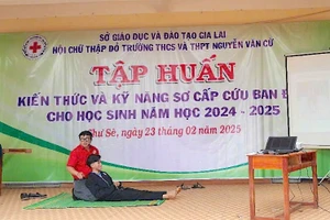 Chư Sê: Trên 100 học sinh và giáo viên được tập huấn kỹ năng sơ-cấp cứu ban đầu