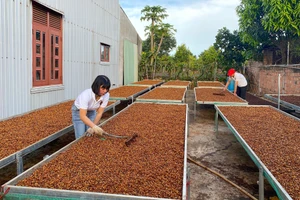 Gia Lai: Bãi bỏ ít nhất 30% điều kiện kinh doanh không cần thiết trong năm 2025