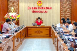 Quang cảnh cuộc họp. Ảnh: Đoan Ngọc