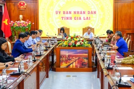 Quang cảnh dự hội nghị tại điểm cầu tỉnh Gia Lai. Ảnh: Ngọc Nhuận