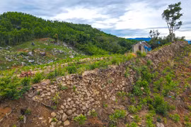 Nhận diện, định hướng bảo tồn, phát huy giá trị di tích Trường Lũy tỉnh Gia Lai